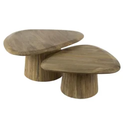 Eleo salontafel set van 2