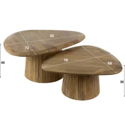 Eleo salontafel set van 2