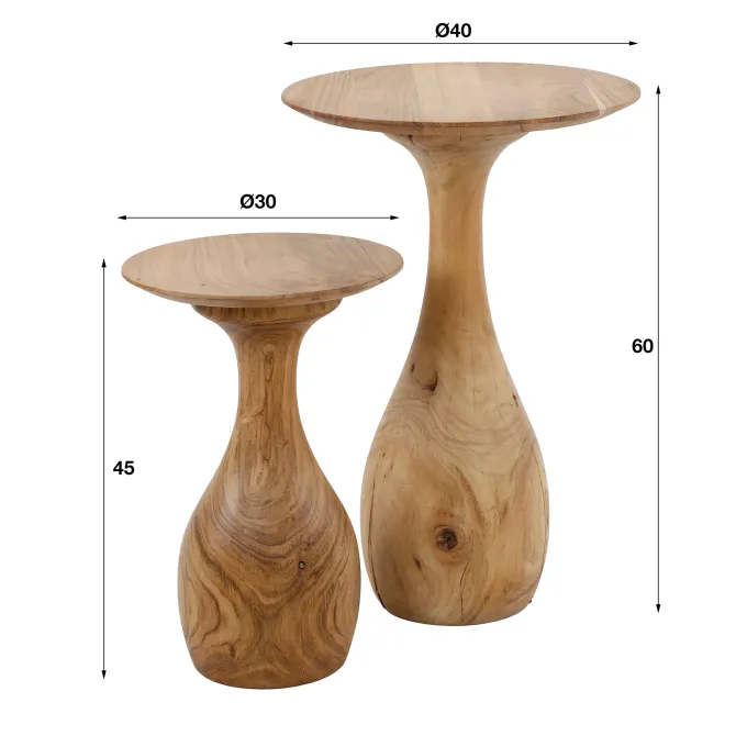 Pins Salontafel set van 2